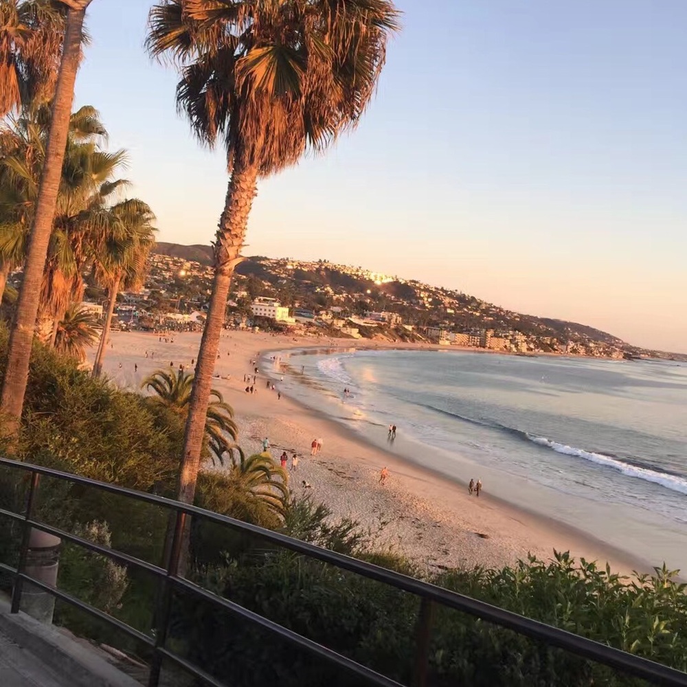 Meet your Posher feizu